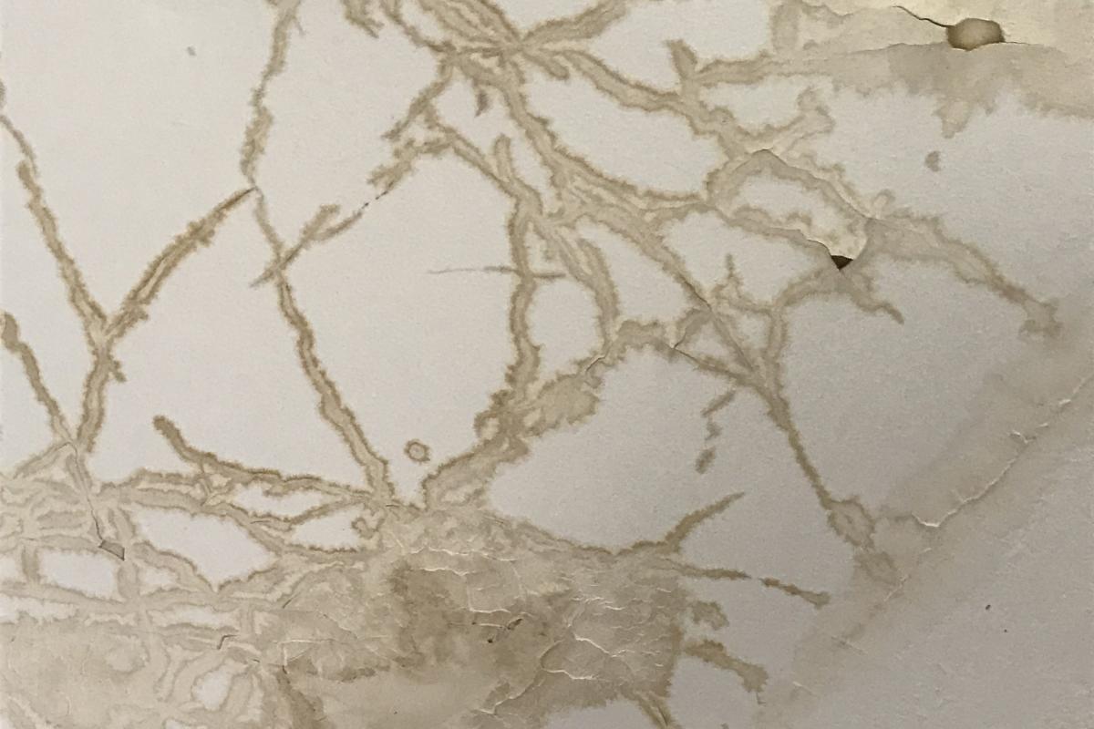 water damage marks on a ceiling
