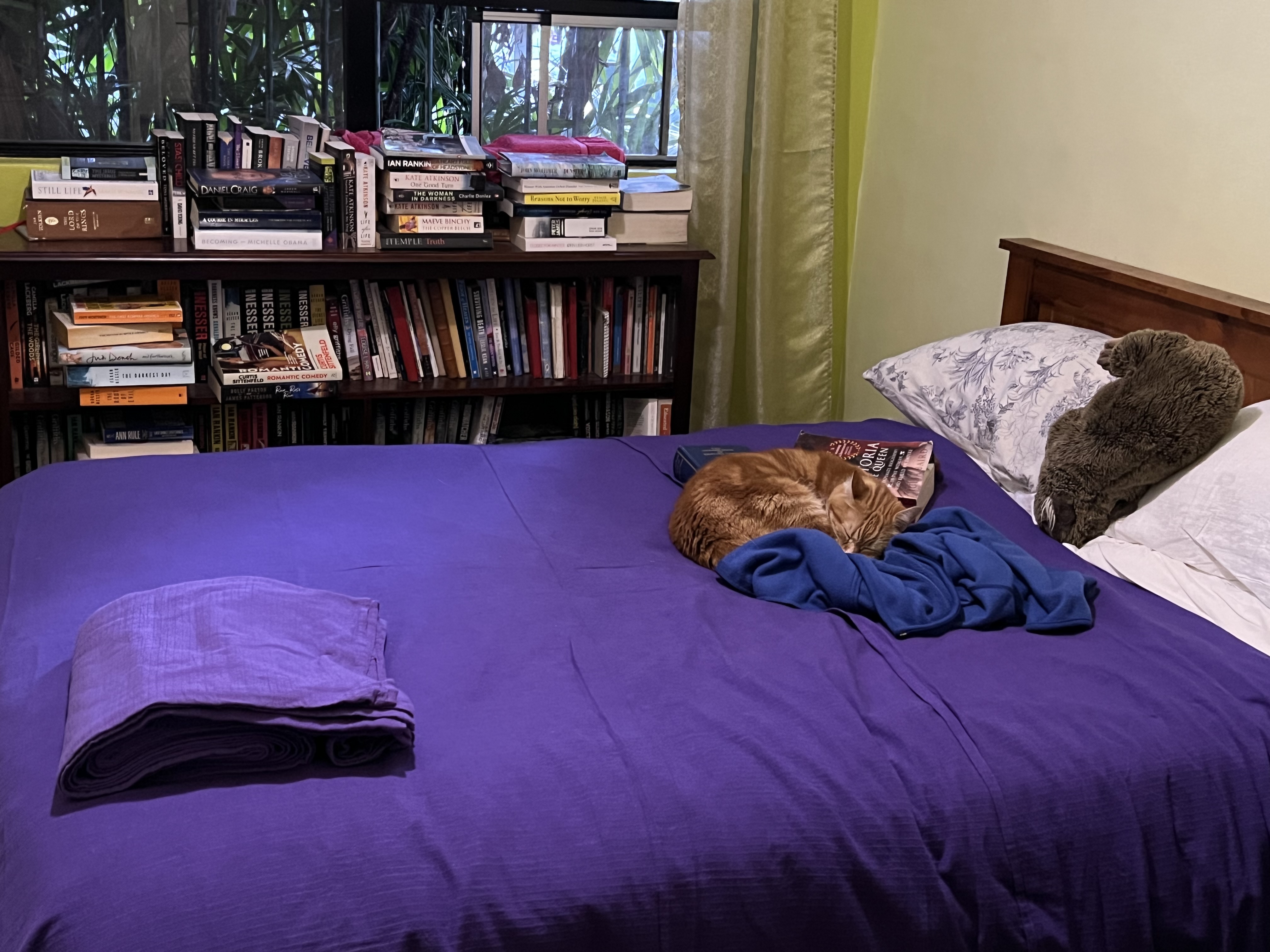 A ginger cat sleeps on a purple bed.