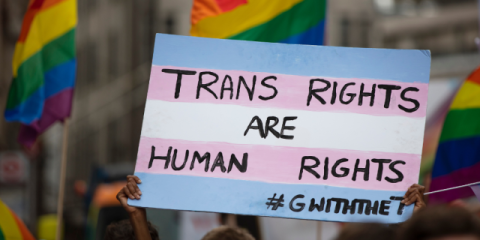 A placard with the transgender flag on it reads "TRANS RIGHTS ARE HUMAN RIGHTS". Rainbow pride flags wave in the background.