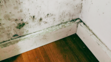 a picture of a corner of a room with wooden floorboard and significant green mould