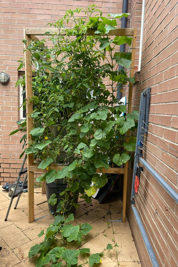 vertical planter